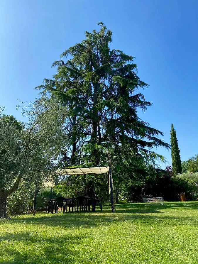 Bed and breakfast B&B ControVento Soiano Del Lago
