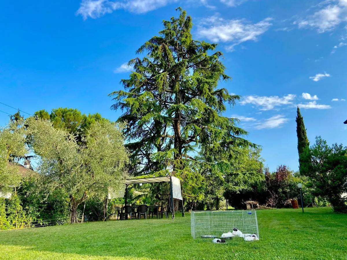 Bed and breakfast B&B ControVento Soiano Del Lago Italia
